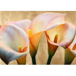 Cuadro de flores en lienzo y lámina, Jewel Callas de Luca Villa