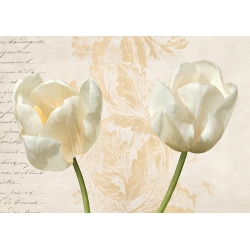 Tableau sur toile, affiche, Deux tulipes modernes de Elena Dolci