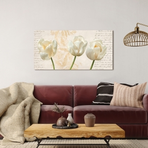 Art print and canvas, Three White Tulips by Elena Dolci