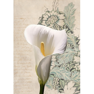 Quadro con fiori, stampa su tela. Calla moderna I di Elena Dolci