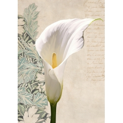 Quadro con fiori, stampa su tela. Calla moderna II di Elena Dolci