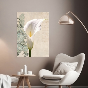 Cuadro moderno flores en lienzo y lámina, Calla II de Elena Dolci