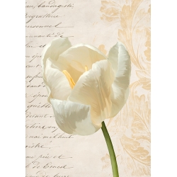 Quadro floreale, stampa su tela. Tulipano moderno I di Elena Dolci