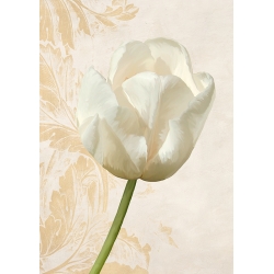 Quadro floreale, stampa su tela. Tulipano moderno II di Elena Dolci