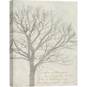 Art print and canvas, Gautier's Tree I by Alessio Aprile