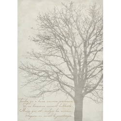 Moderner Leinwandbild mit Bäumen, Gautier's Tree II, Alessio Aprile
