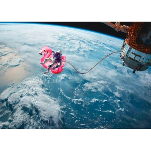 Tableau à thème NASA, Flottant dans l'espace de Astrolabs