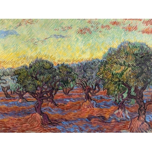 Art print and canvas, Olive Grove, Saint-Rémy by van Gogh