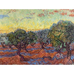 Leinwandbild, Olivenhain, Saint-Rémy von Vincent van Gogh
