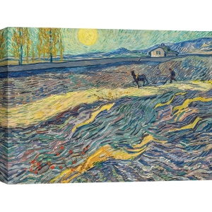 Quadro, stampa su tela, Campo con aratura di Vincent van Gogh