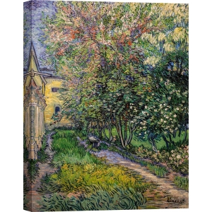 Lienzo y lámina, El jardín del asilo de Saint-Rémy de van Gogh