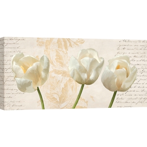 Kunstdruck, Leinwandbild, Drei moderne Tulpen von Elena Dolci