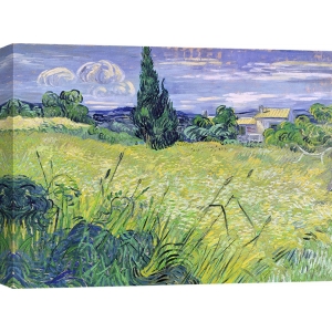 Quadro, stampa su tela. Vincent van Gogh, Paesaggio con grano verde