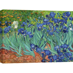 Wall art print and canvas. Vincent van Gogh, Irises
