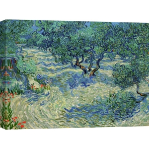Leinwandbilder. Vincent van Gogh, Der Olivenhain