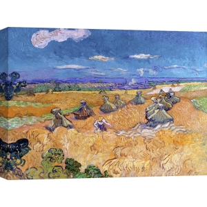Quadro, stampa su tela. Vincent van Gogh, Campi di grano e mietitore, Auvers