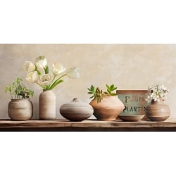 Shabby chic canvas, Flowers in terracotta pots by Remy Dellal