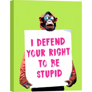 Monkey poster, I defend your Right by Masterfunk Collective