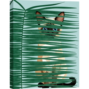 Kunstdruck, Leinwandbild Katze, Cat's eyes, Steven Hill