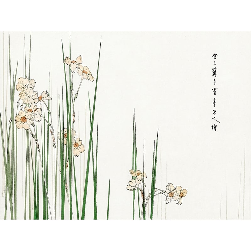 Cuadro japonés en lienzo y lámina, Jonquil de Watanabe Seitei