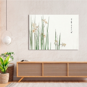 Japanese print and canvas, Jonquil by Watanabe Seitei