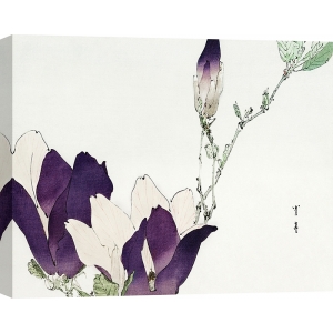 Tableau et affiche japon, Magnolia pourpre de Watanabe Seitei