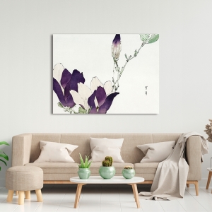 Japanischer Kunstdruck, Violette Magnolie, Watanabe Seitei