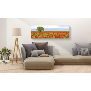 Wall art print and canvas. Tree in a poppy field