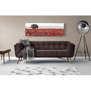 Wall art print and canvas. Tree in a poppy field