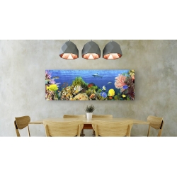 Wall art print and canvas. Pangea Images, Life in the Coral Reef, Maldives