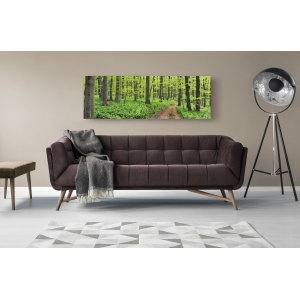 Wall art print and canvas. Krahmer, Beech forest, Germany