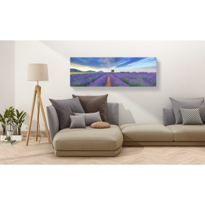 Wall art print and canvas. Krahmer, Lavender Field, France