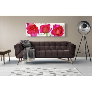 Wall art print and canvas. Jenny Thomlinson, Spring Roses
