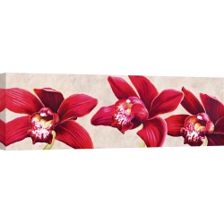 Wall art print and canvas. Luca Villa, Elegant Orchids