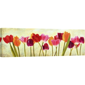 Leinwandbilder Blumen. Luca Villa, Tulip parade
