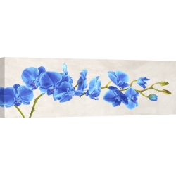 Quadro, stampa su tela. Shin Mills, Blue Orchid
