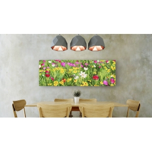 Wall art print and canvas. Silvia Mei, Field of Flowers (detail)