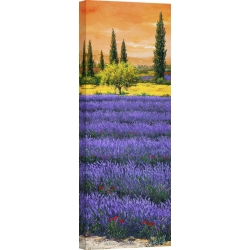 Wall art print and canvas. Tebo Marzari, Afternoon in the lavender