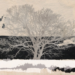 Wall art print and canvas. Alessio Aprile, Silver Tree (detail)