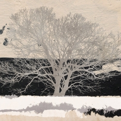 Leinwandbilder mit Bäume. Alessio Aprile, Silver Tree (detail)