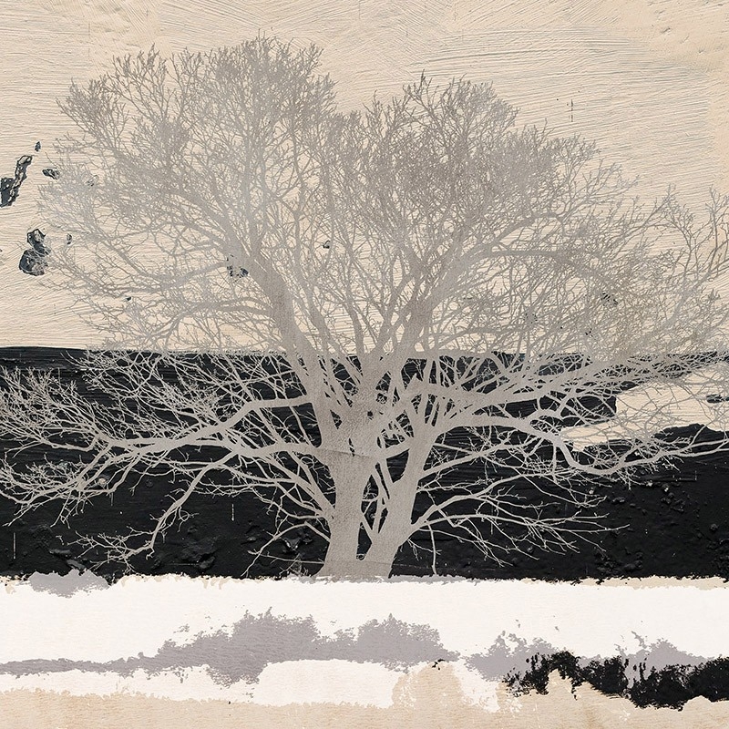 Cuadro árbol en canvas. Alessio Aprile, Silver Tree (detalle)