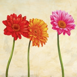 Cuadros de flores en canvas. Ann Cynthia, Gerberas (detalle)