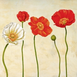 Tableau floral sur toile. Ann Cynthia, Coquelicots (détail)