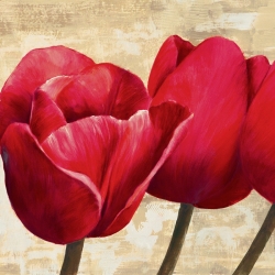 Wall art print and canvas. Cynthia Ann, Red Tulips (detail)