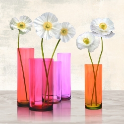 Wall art print and canvas. Cynthia Ann, Poppies in crystal vases (Purple I)