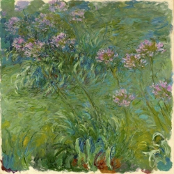 Wall art print and canvas. Claude Monet, Agapanthe