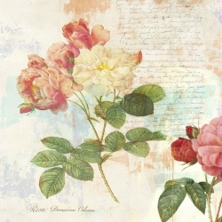Cuadros botanica en canvas. Eric Chestier, Redouté's Roses 2.0 – I