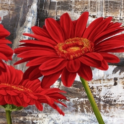 Tableau sur toile. Fleurs modernes, Gerberas rouges II