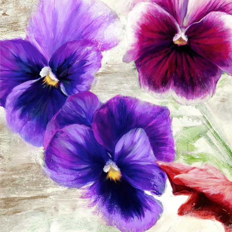 Cuadros de flores modernos en canvas. Jenny Thomlinson, Violette II