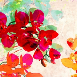 Wall art print and canvas. Kelly Parr, Orchidreams (detail)